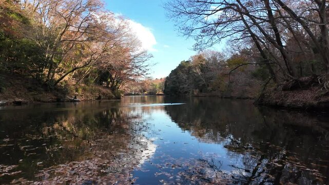 ゆったりとした時が流れる湖 | 秦野 | 震生湖