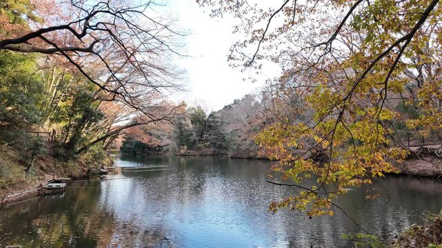 ゆったりとした時が流れる湖 | 秦野 | 震生湖