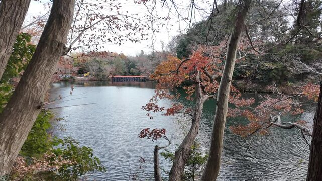 ゆったりとした時が流れる湖 | 秦野 | 震生湖