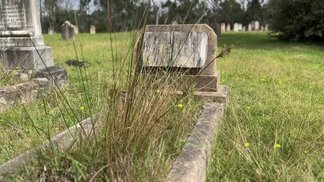 Graveyard very old in the middle of a gumtree forest