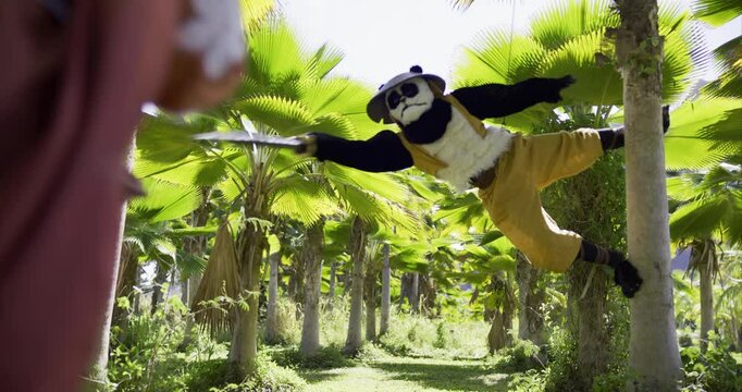 Guy in panda costume landing on side of tropical tree using wires and posing, steady cam shot