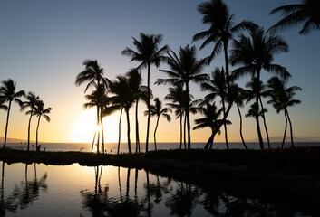 Silhouette of tropical palm trees reflecting in a lagoon on the beaches of Maui, Hawaii