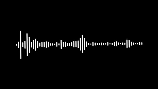White audio waveform spectrum animation, Sound wave animation, classic graphic sound equalizer,
White and black audio visualization effect. digital audio spectrum wave effect