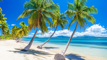 tropical beach with palm trees swaying in breeze