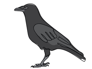 Crow in continuous line drawing on white background.