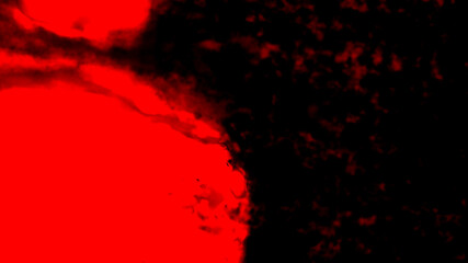 abstract red and black globular round shape and particles appearing to float or morph isolated on a dark background illustration for presentations or creative projects. 