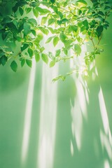 Fototapeta premium Ethereal Green Eco-Minimalism Soft Sunlight Filtering Through Verdant Leaves - Biophilic Design Inspiration for Wellness and Sustainable Living Spaces