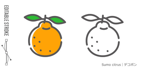 フルーツのラインアイコンと色付きアイコンのセット｜デコポン