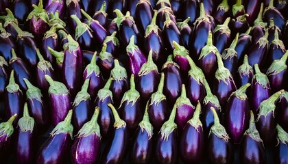 Aubergine