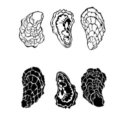 Outline oysters