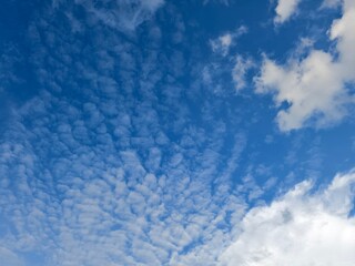 Fototapeta premium clear sky in the afternoon