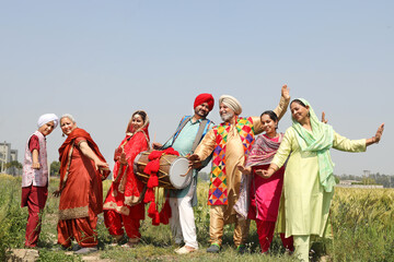 Punjab people celebrating Baisakhi or vaisakhi festival in agriculture field and doing bhangra dance. Punjabi sikh family enjoying festive season together, Culture of india.