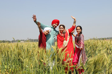 Punjabi sikh family celebrating Baisakhi or vaisakhi festival in agriculture field and doing...