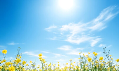 field of yellow flowers and blue sky background. generative ai
