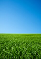 Fototapeta premium Vibrant green field under a clear blue sky Serene landscape photo. AI Generated