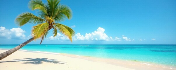 Fototapeta premium A lone palm tree stands on a deserted beach with warm sand and clear blue waters, blue waters, warm weather