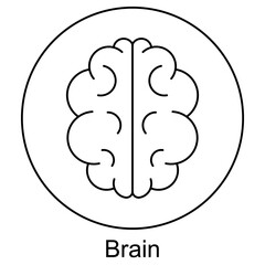 Brain Icon, Unlocking the Power of the Brain, The Science Behind a Smarter Brain