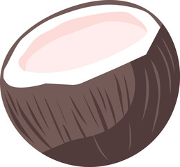 Half of coconut tropical fruit