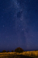 Stargazing at the night sky and milky way