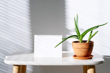 Blank Spiral Notepad for Presentation near Aloe Vera Plant. Minimalist Mock Up for Advertising.