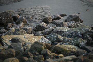 This close-up shot captures a dynamic arrangement of rugged, dark-hued rocks scattered along a muddy, receding shoreline or riverbank