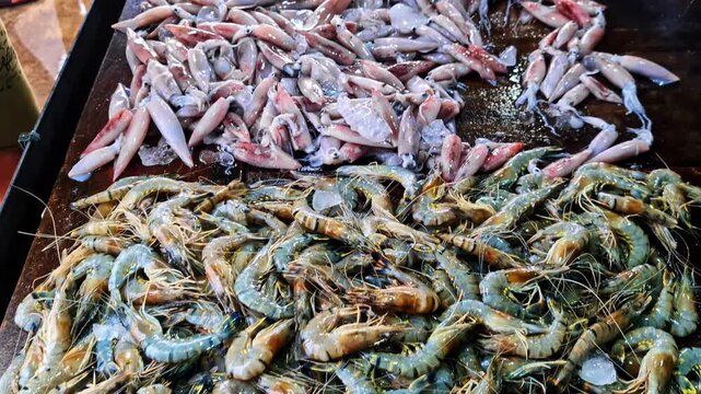 Shrimp harvest along the shores of Weligama, a coastal fishing village in Sri Lanka