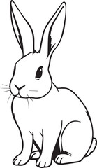 Rabbit. Hand drawn vector illustration