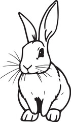 Rabbit. Hand drawn vector illustration