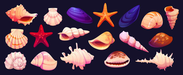 Cartoon seashells, mussels and starfish of vector ocean beach shellfish and underwater coral reef mollusk animals. Marine sea shells, conches, scallops and mussels, starfish, clams, horn snail, cowrie © Vector Tradition
