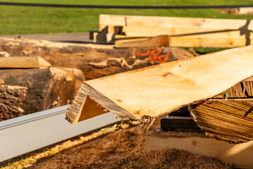 wood plank with texture of tree after cutting in angle wooden building material