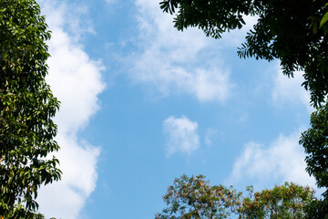 Obraz premium clear blue sky background,clouds with background, Blue sky background with tiny clouds. White fluffy clouds in the blue sky. 