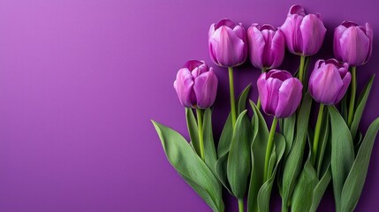 Fototapeta premium A purple background with a bunch of purple flowers