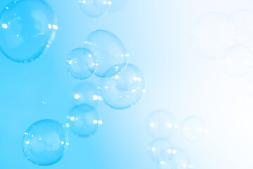 Beautiful Transparent Blue Soap Bubbles Floating in The Air. Freshness Soap Suds Bubbles Water. Celebration Festive Backdrop. Abstract White Gradient and Blue Textured Background.	
