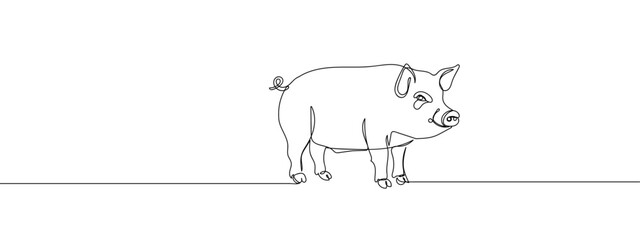 Continuous line, full body pig vector illustration with transparent background editable stroke.