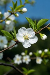 there is a white flower on a tree branch with green leaves