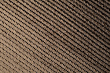 Plowed Furrows: Preparing the Soil for Planting