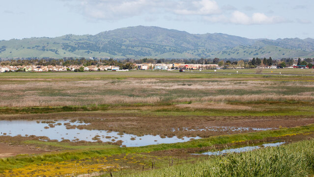 Open space and Suisun Marsh East of Suisun City, California.