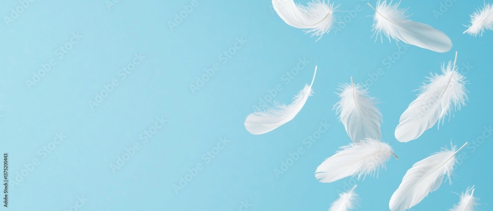 Poster group of white feathers flying in the air against a light blue background. the feathers are of diffe