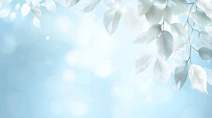 Serene silver leaves, light blue bokeh background, nature banner, website header