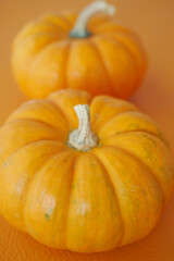 Orange pumpkins on a vibrant orange background ready for harvest