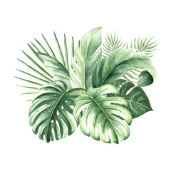 Watercolor tropical palm leaves isolated illustration for summer rainforest designs. Hand drawn green monstera and jungle plants in realistic botanical style. Clipart of lush foliage exotic plants.