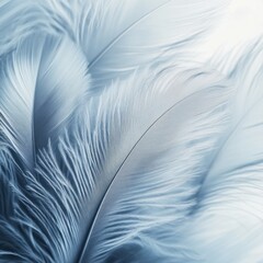 Delicate pale blue feathers layered softly on one another, creating an airy and tranquil atmosphere, hinting at elegance and fragility.