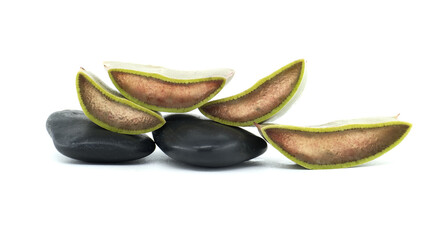 Zen Arrangement of Black Stones and Sliced Fresh Aloe Vera Slices