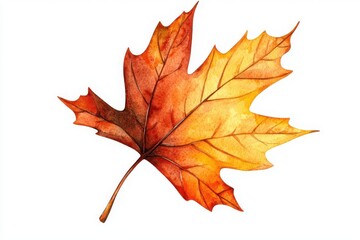 Fototapeta premium A vibrant autumn leaf showcasing shades of orange and yellow, highlighting the beauty of fall foliage against a white background.