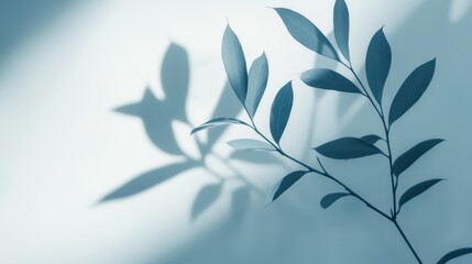 Serene Blue Leaves and Shadow Play A Minimalist Botanical Background Composition with Natural Light Creating a Calming and Peaceful Ambiance