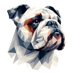 저폴리 불도그 머리 벡터 일러스트, jpeg (Low Poly   
bulldog head Vector Illustration, jpeg)