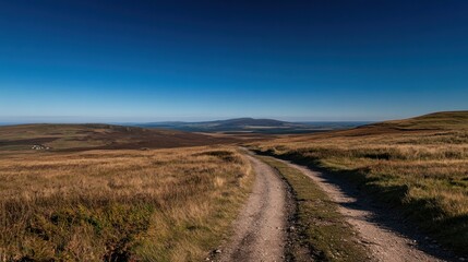 Scenic dirt road winding through a vast, golden landscape under a clear blue sky.