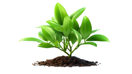 Green sprout stem PNG young plant PNG growing leaf PNG organic gardening PNG fresh greenery PNG botanical illustration PNG transparent background