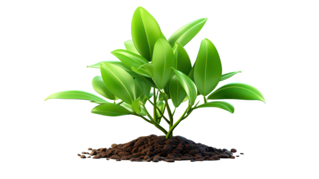 Green sprout stem PNG young plant PNG growing leaf PNG organic gardening PNG fresh greenery PNG botanical illustration PNG transparent background