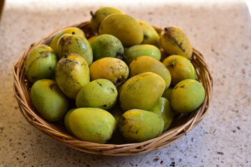 Mango, Scientific name Mangifera caloneura Kurz, Ripe Mango tree (Mangifera caloneura Kurz) fruits in wicker basket